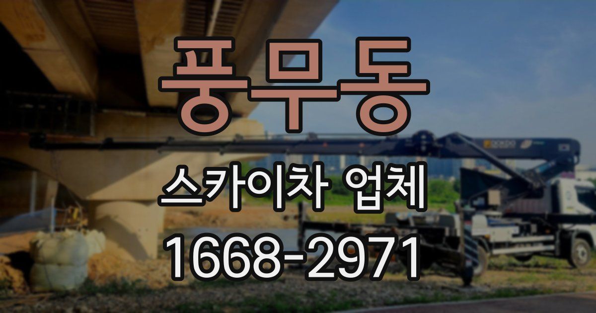 풍무동 스카이차 업체