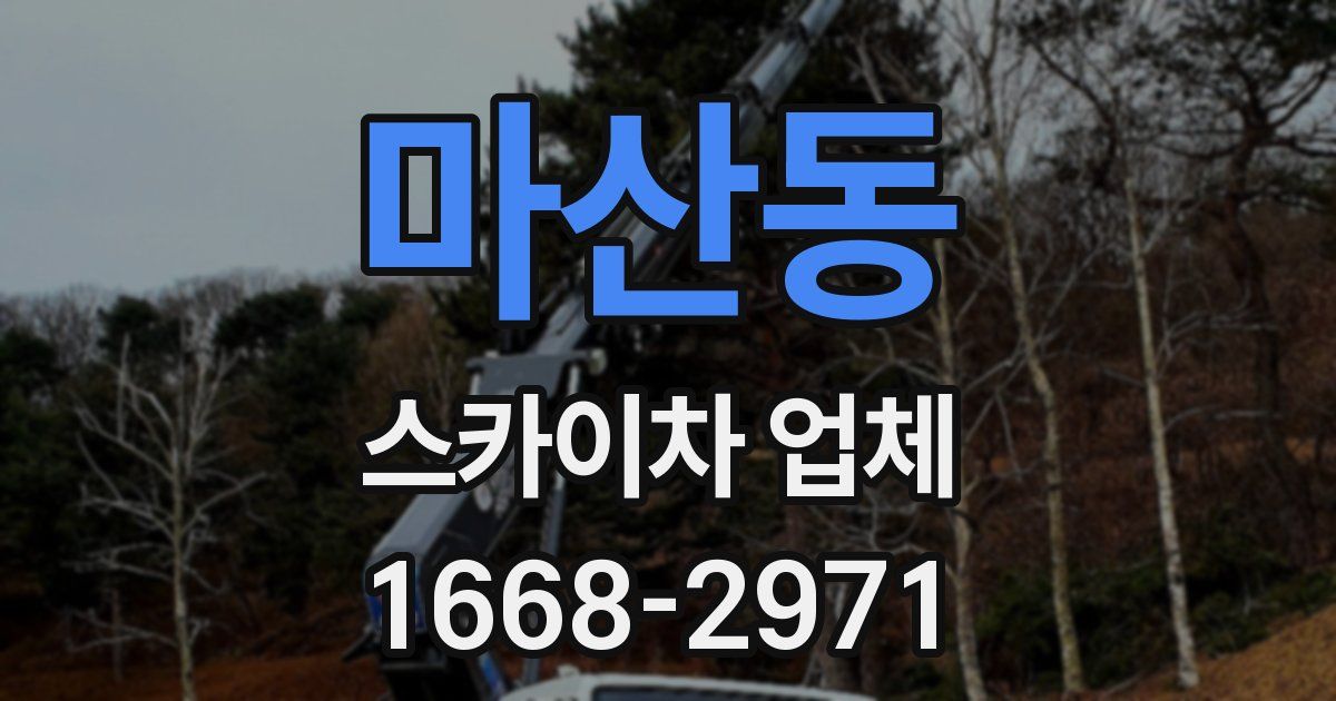 마산동 스카이차 업체