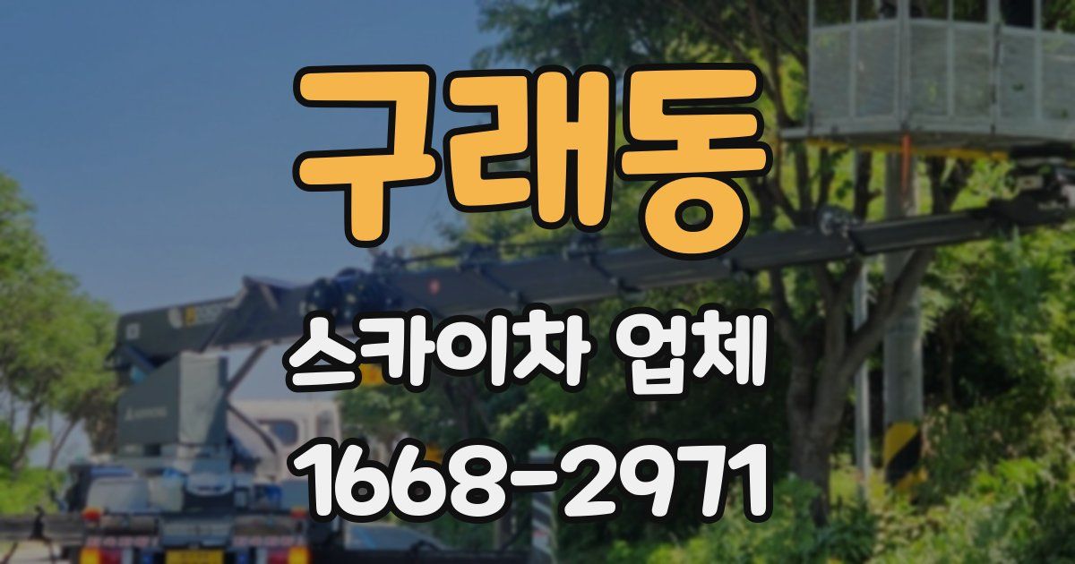 구래동 스카이차 업체