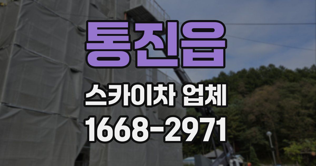 통진읍 스카이차 업체