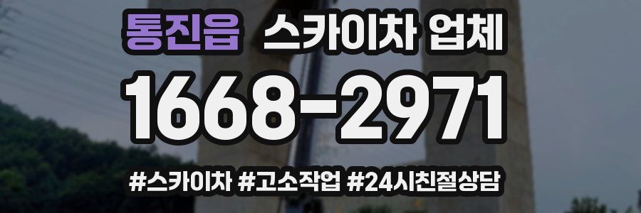 통진읍 스카이차 업체