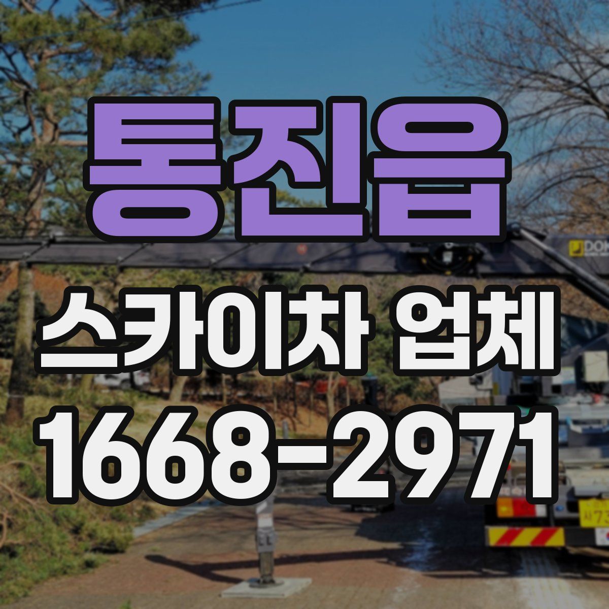 통진읍 스카이차 업체
