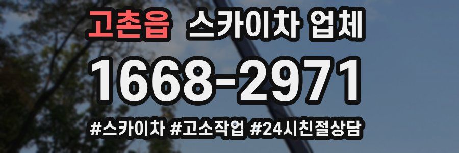 고촌읍 스카이차 업체
