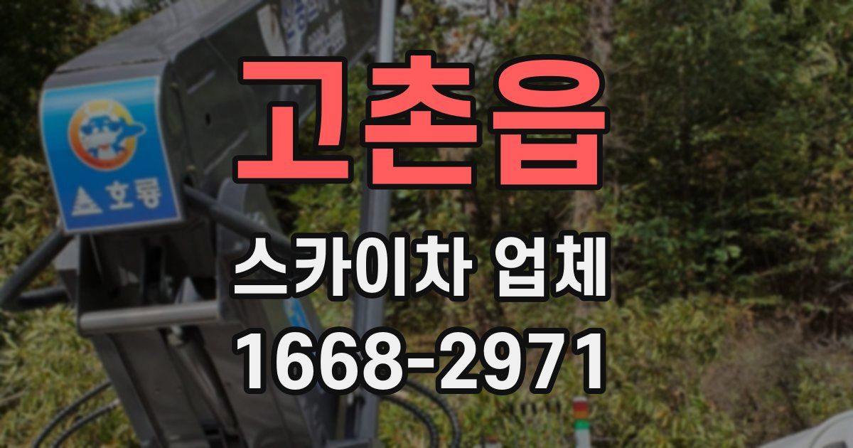 고촌읍 스카이차 업체