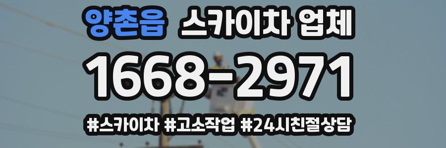 양촌읍 스카이차 업체