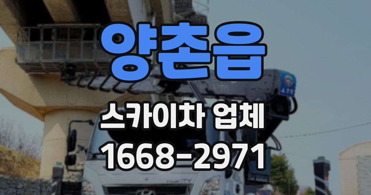 양촌읍 스카이차 업체