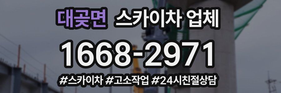 대곶면 스카이차 업체