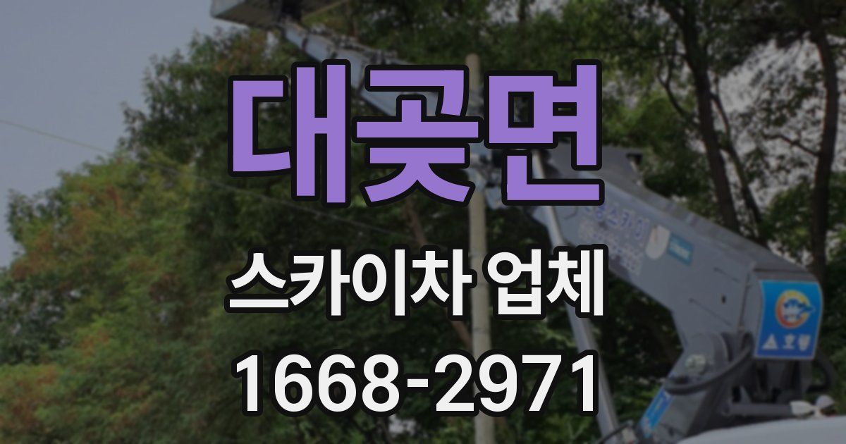 대곶면 스카이차 업체