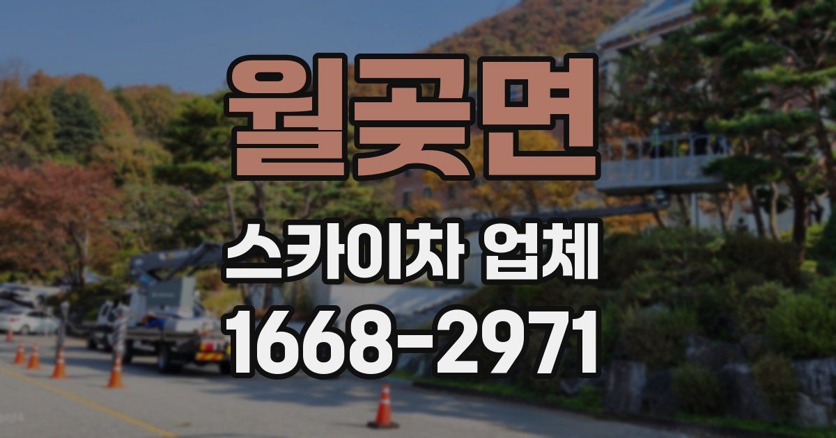 월곶면 스카이차 업체