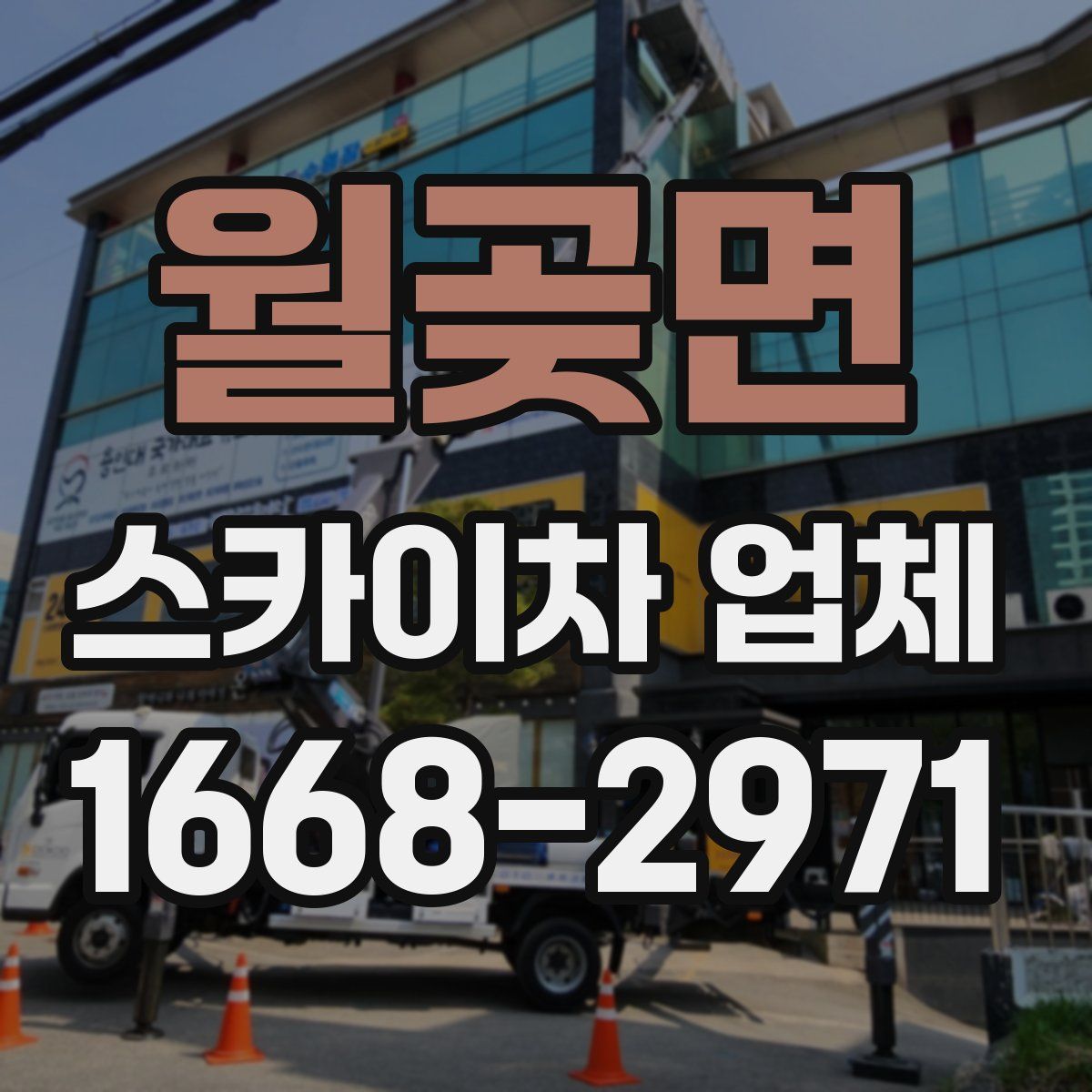월곶면 스카이차 업체