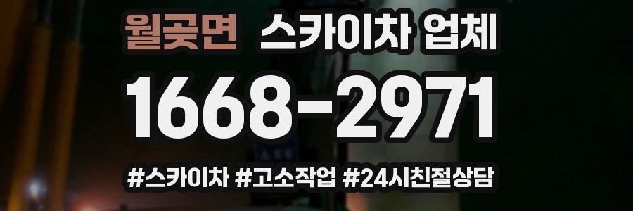 월곶면 스카이차 업체