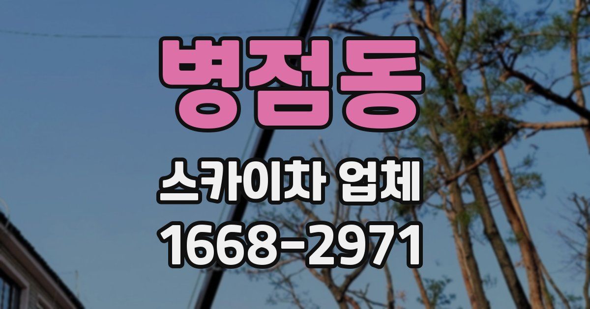 병점동 스카이차 업체