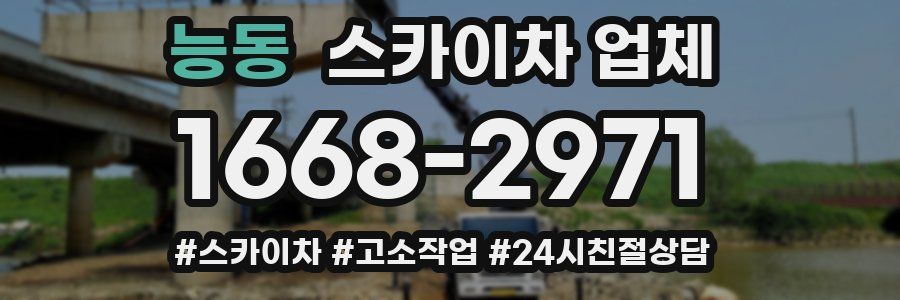 능동 스카이차 업체