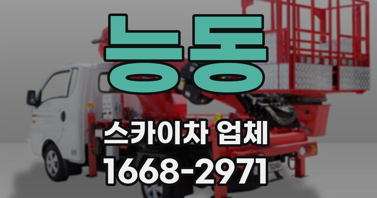 능동 스카이차 업체