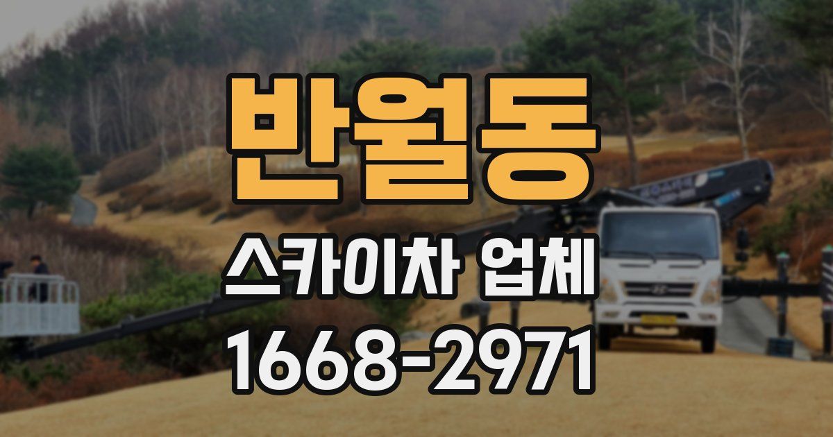반월동 스카이차 업체