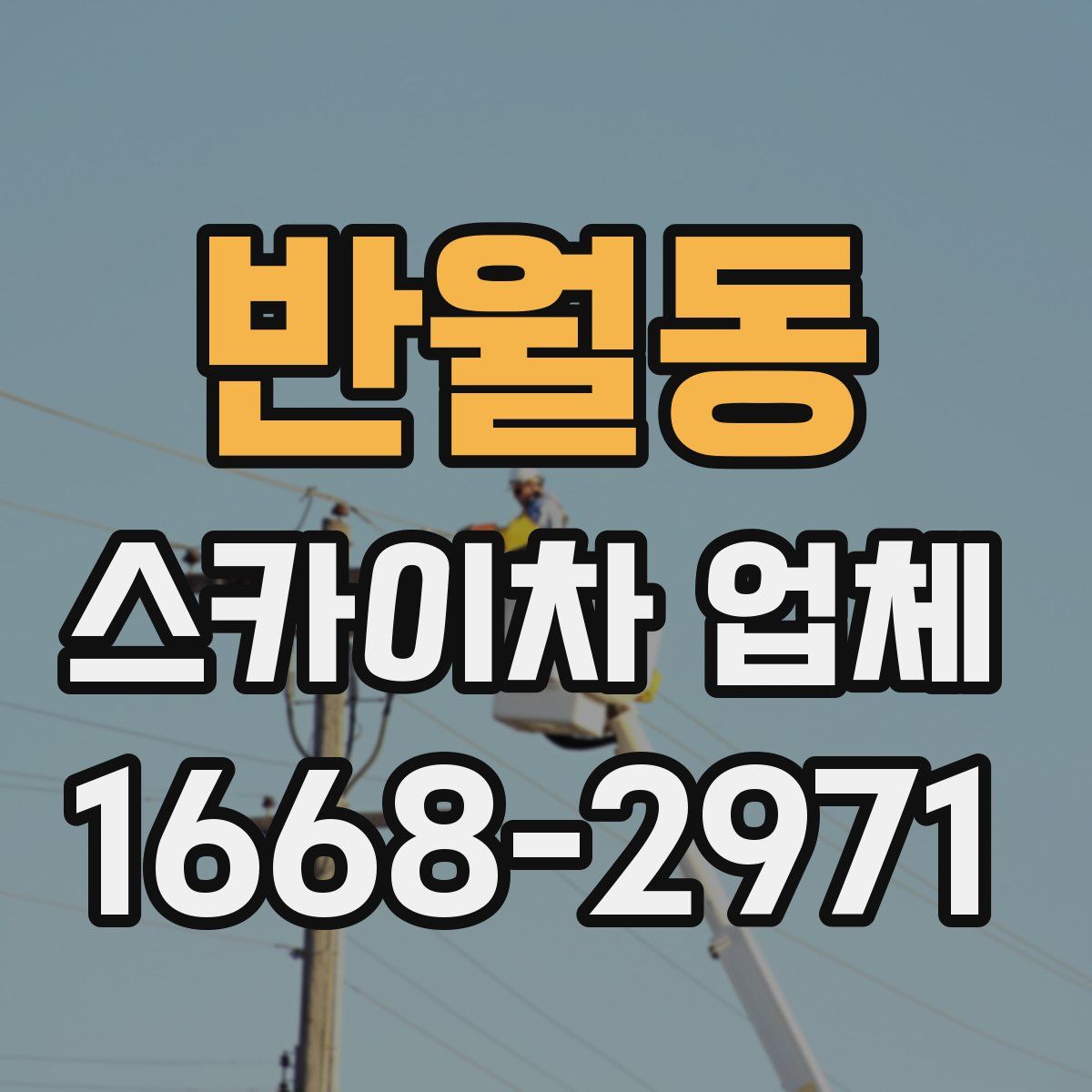 반월동 스카이차 업체