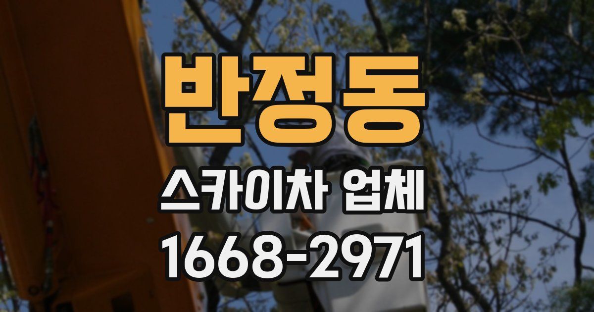 반정동 스카이차 업체