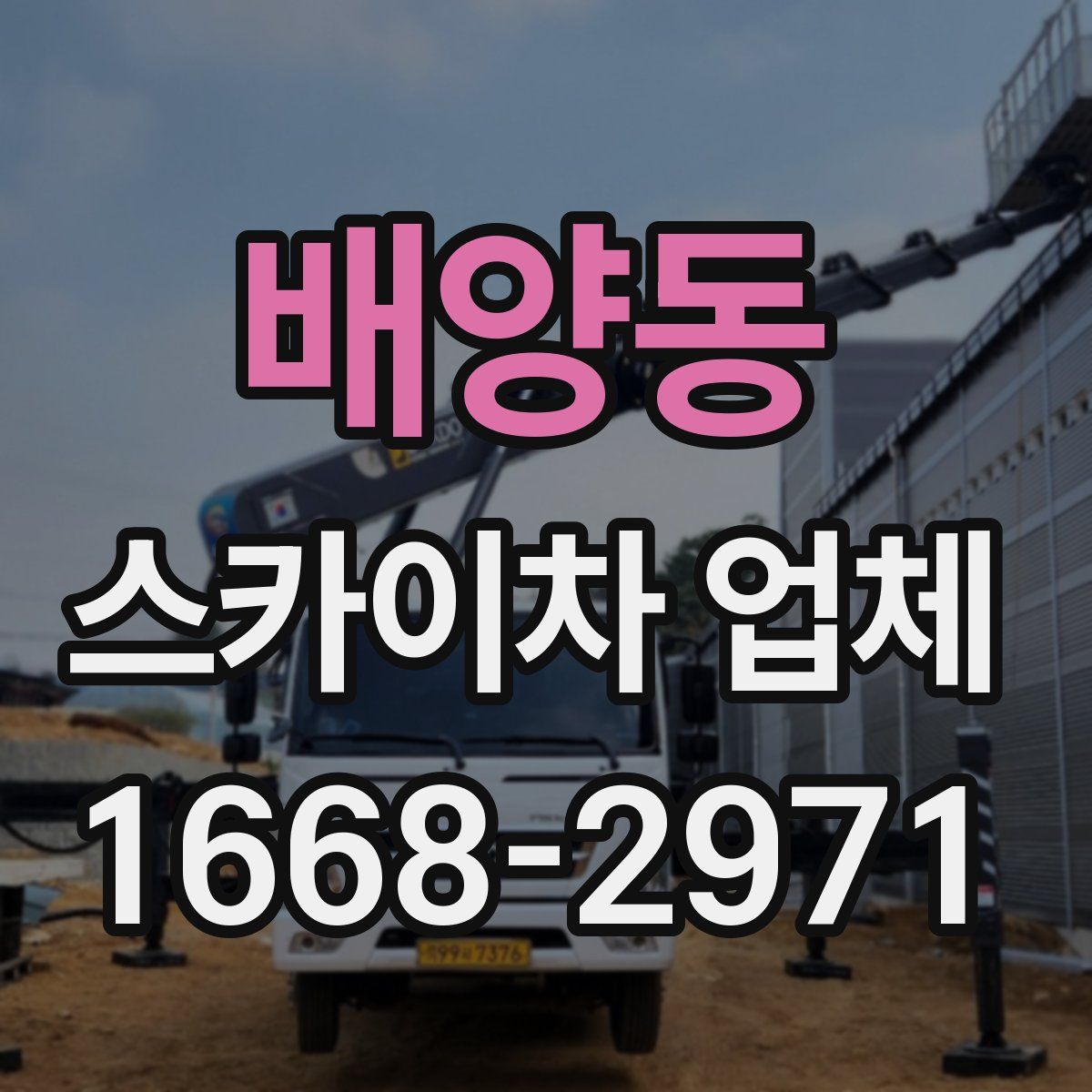 배양동 스카이차 업체