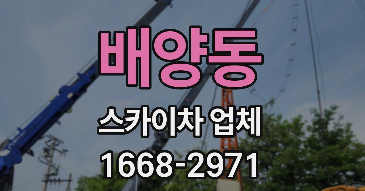 배양동 스카이차 업체