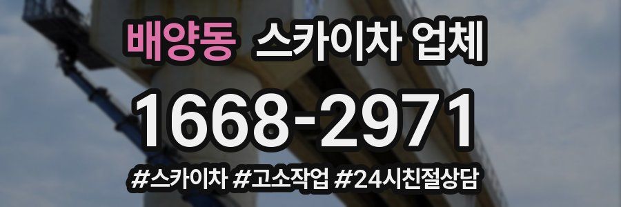 배양동 스카이차 업체