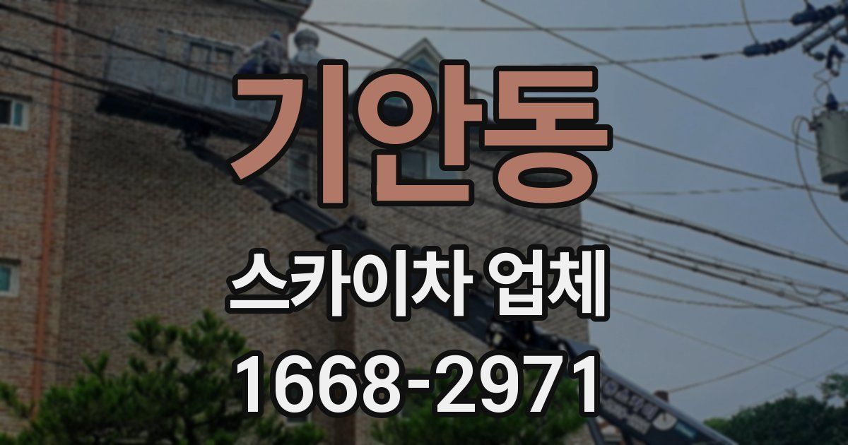 기안동 스카이차 업체