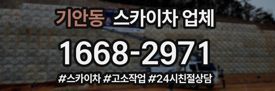 기안동 스카이차 업체
