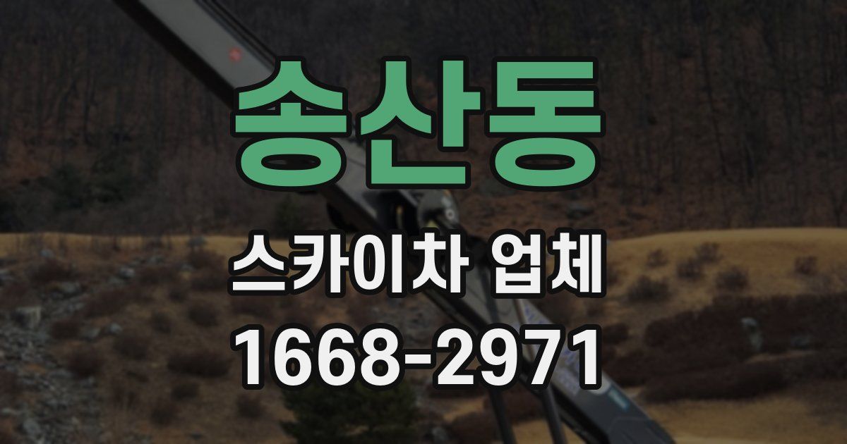 송산동 스카이차 업체
