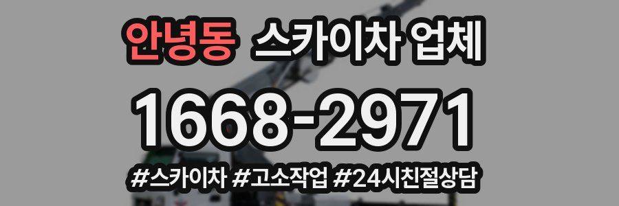 안녕동 스카이차 업체