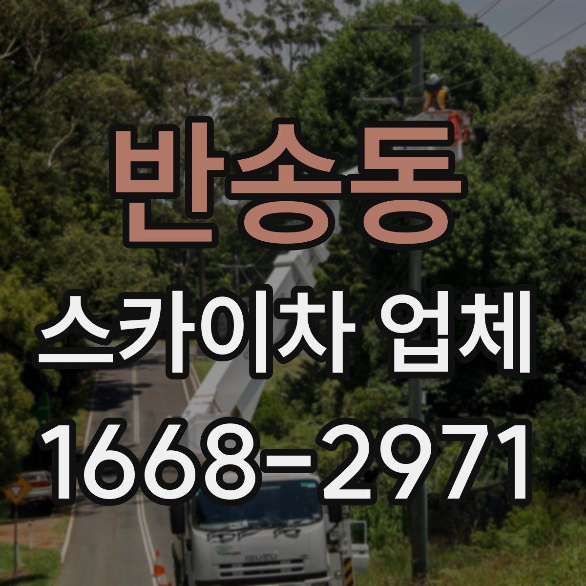 반송동 스카이차 업체 예약 전에 알아두면 좋은 점