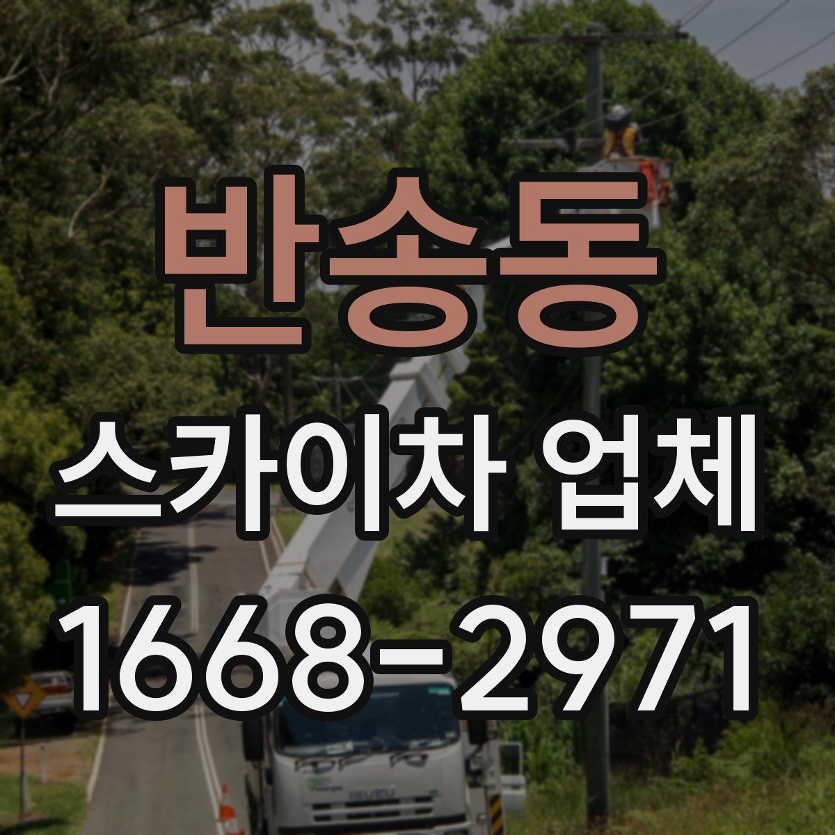 반송동 스카이차 업체