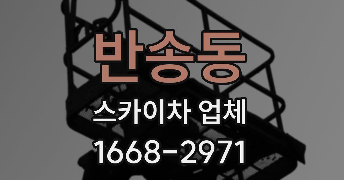 반송동 스카이차 업체