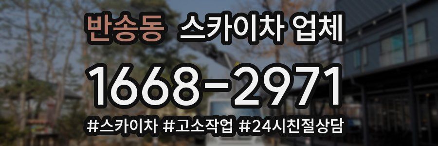 반송동 스카이차 업체
