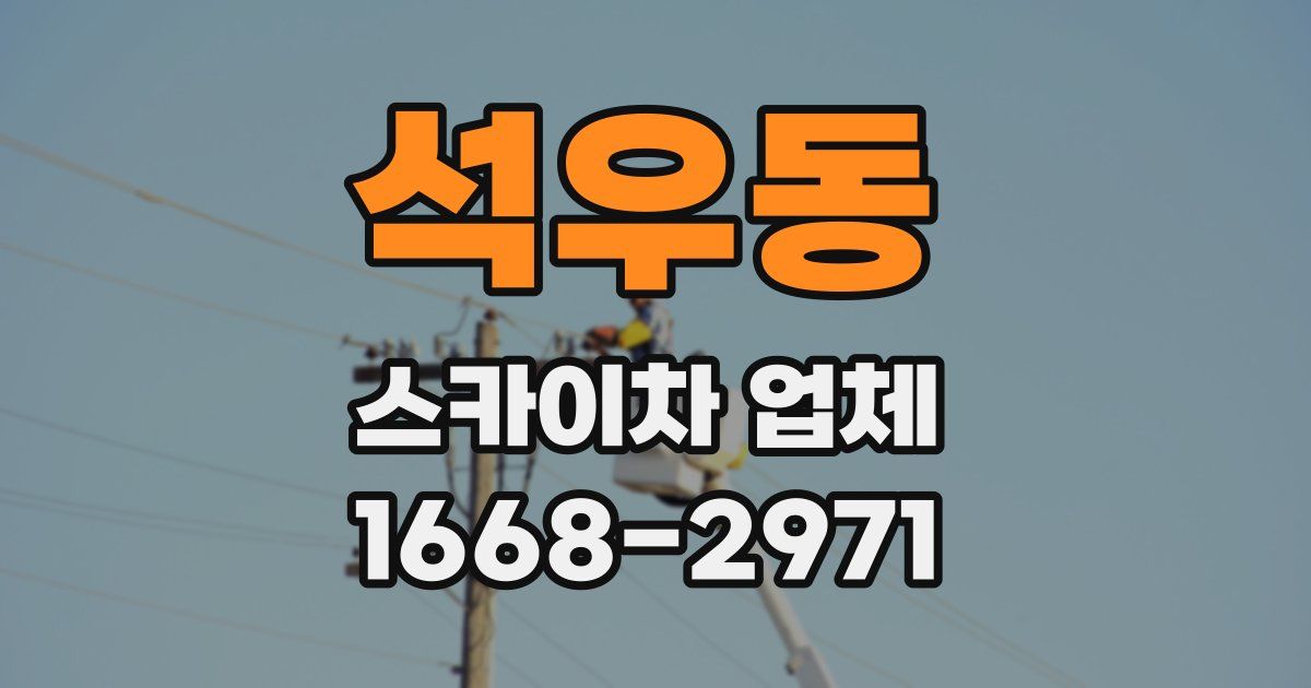 석우동 스카이차 업체