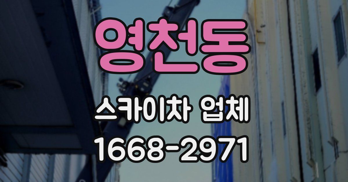 영천동 스카이차 업체