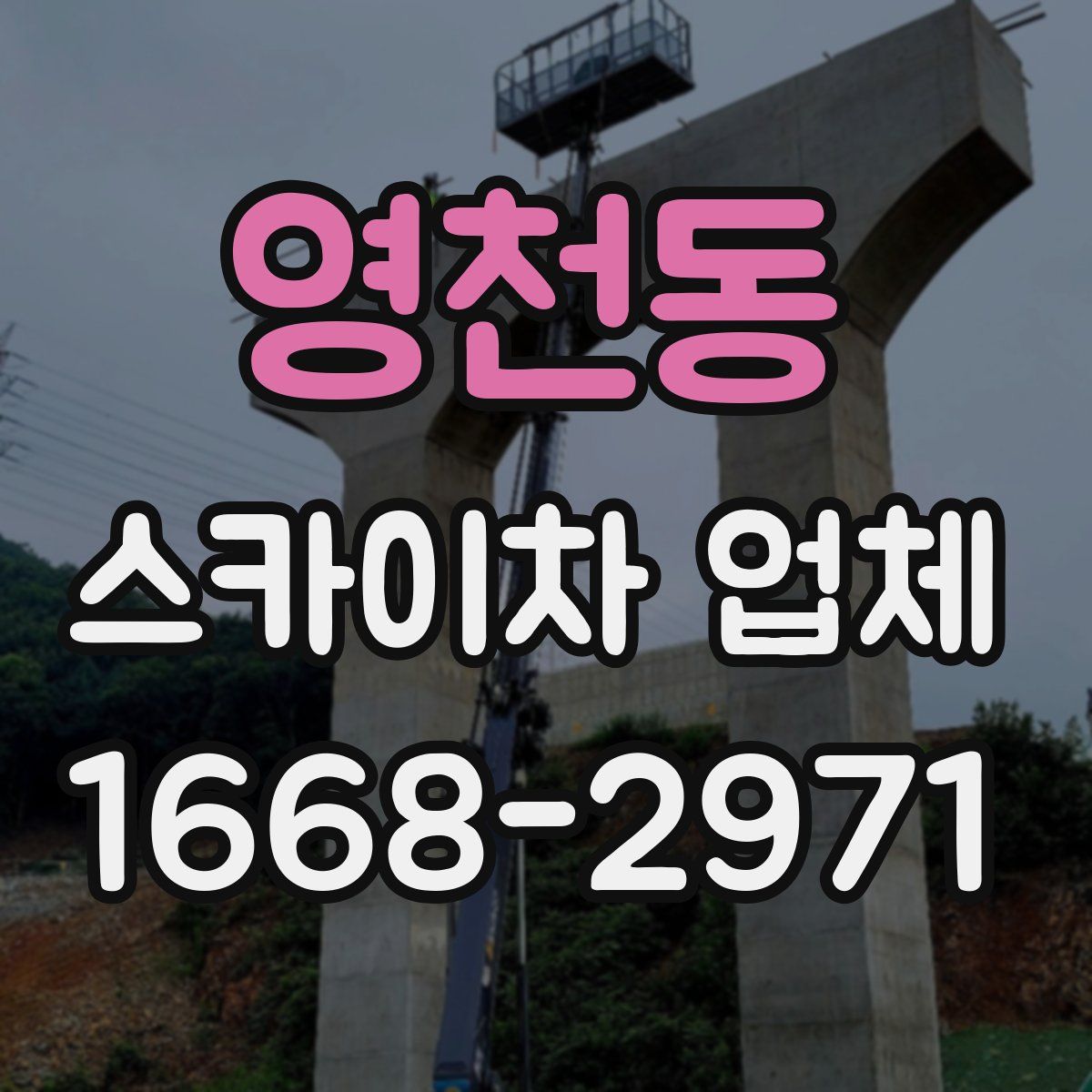영천동 스카이차 업체