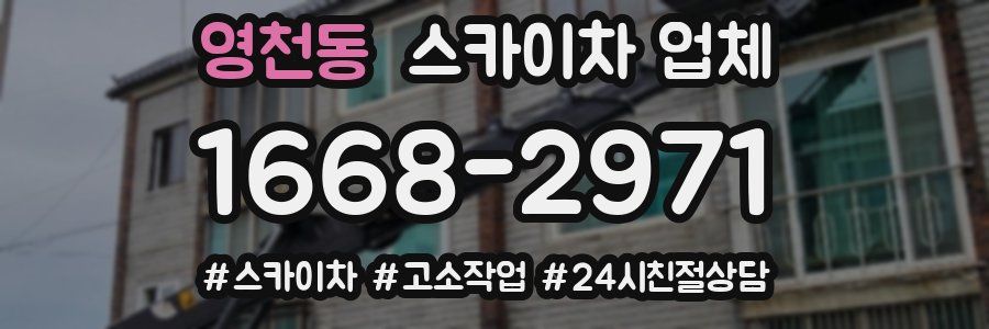 영천동 스카이차 업체