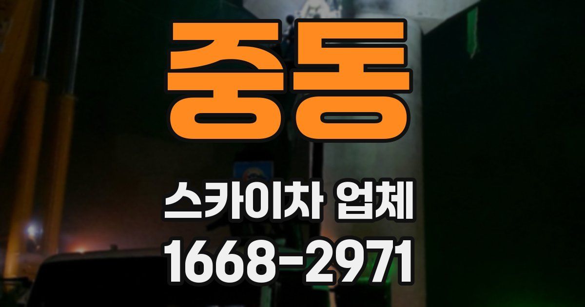 중동 스카이차 업체