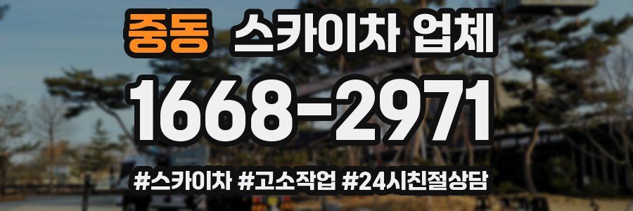 중동 스카이차 업체