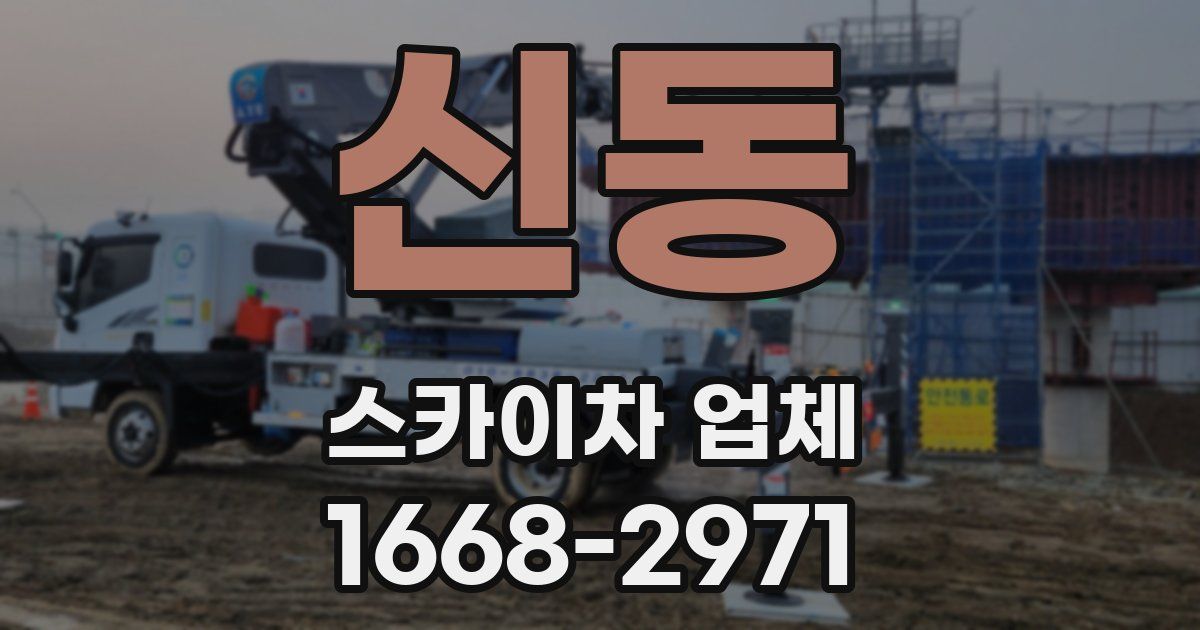 신동 스카이차 업체