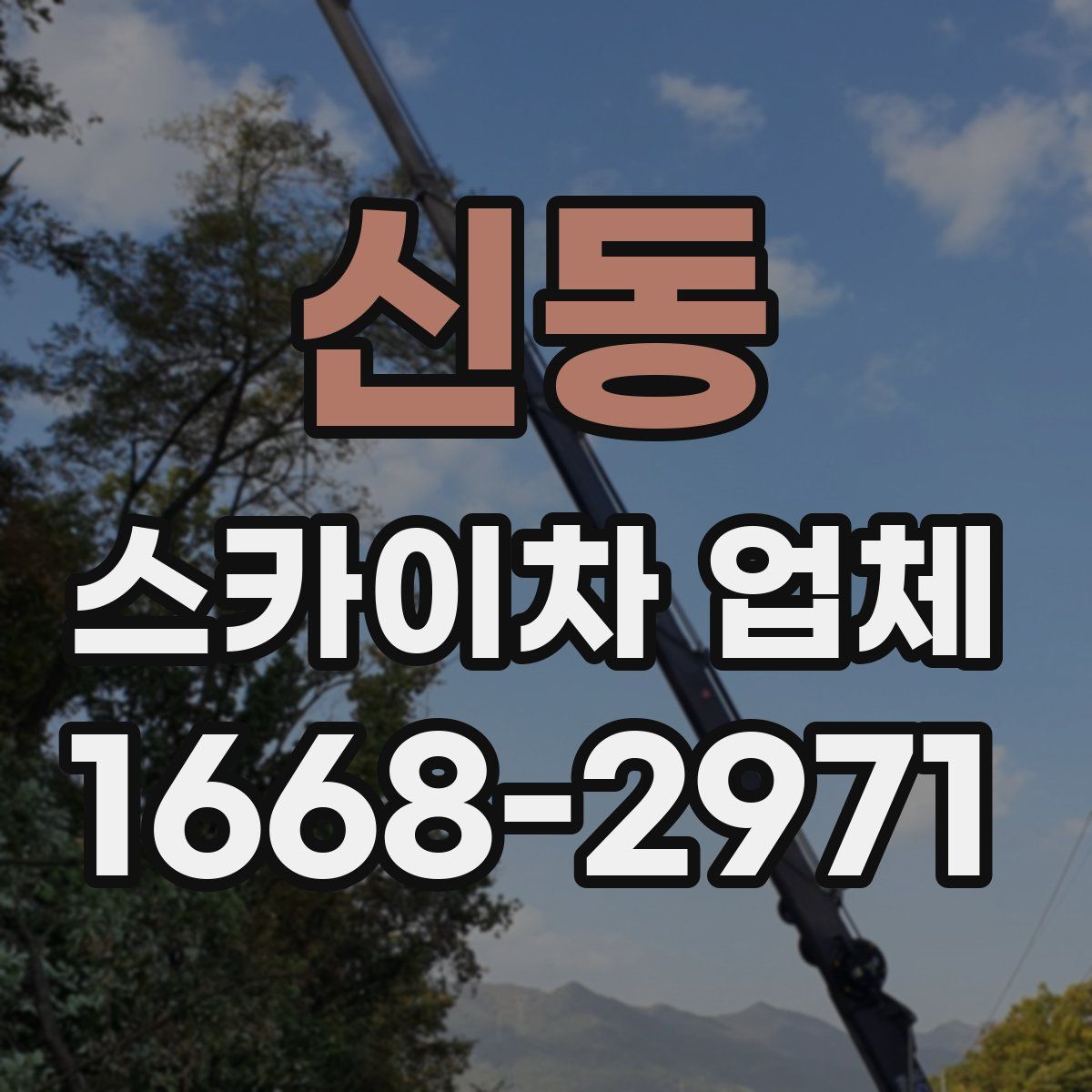 신동 스카이차 업체