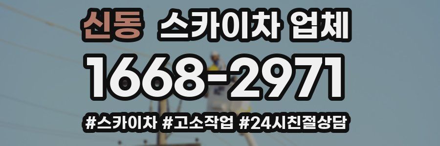 신동 스카이차 업체