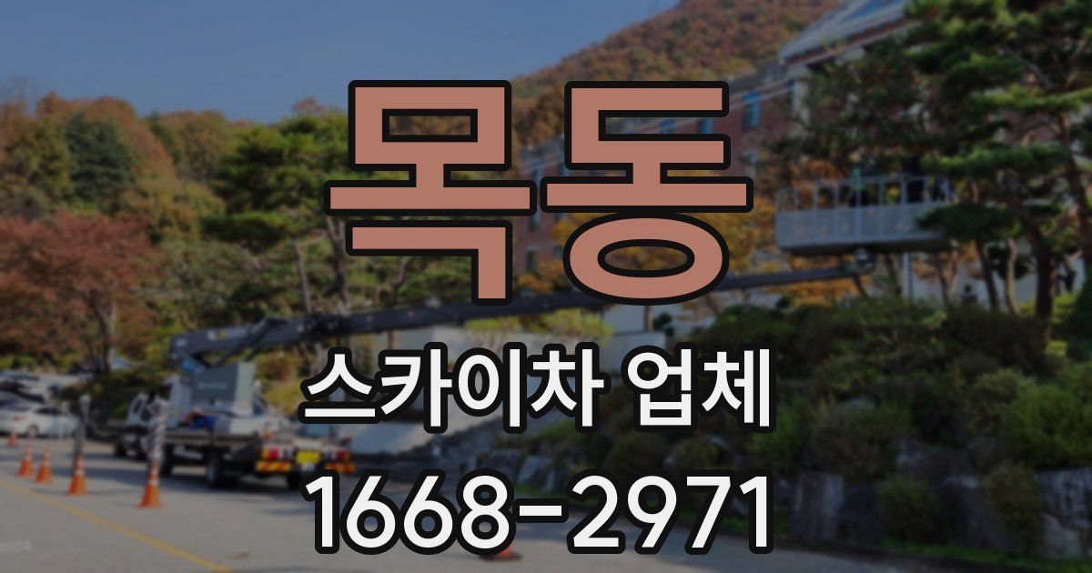 목동 스카이차 업체