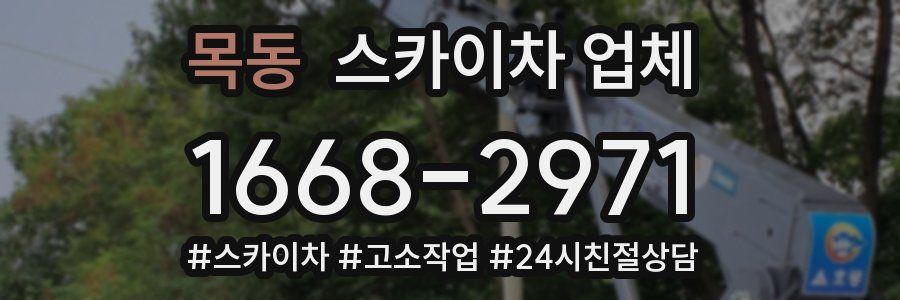 목동 스카이차 업체