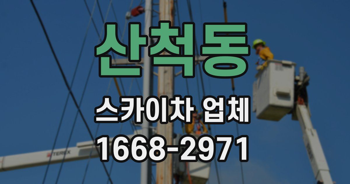 산척동 스카이차 업체