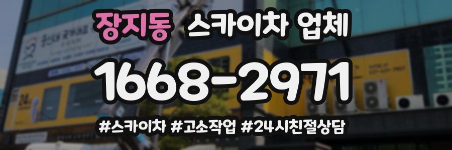 장지동 스카이차 업체