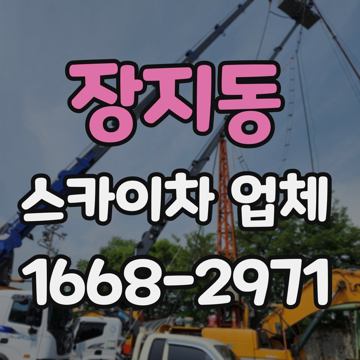 장지동 스카이차 업체