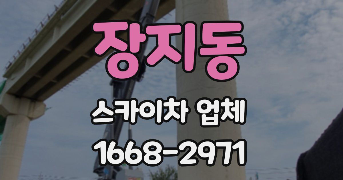 장지동 스카이차 업체
