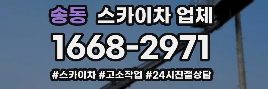 송동 스카이차 업체