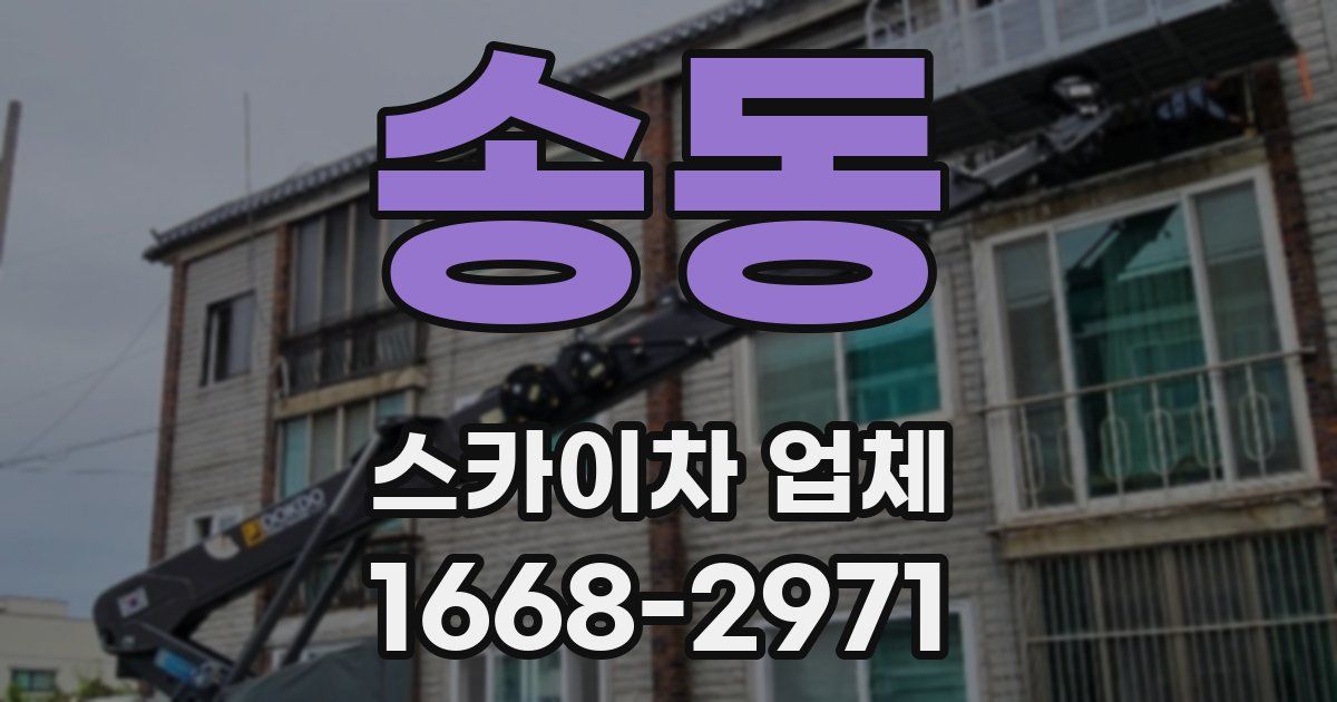 송동 스카이차 업체