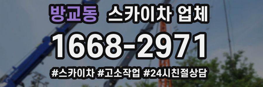 방교동 스카이차 업체